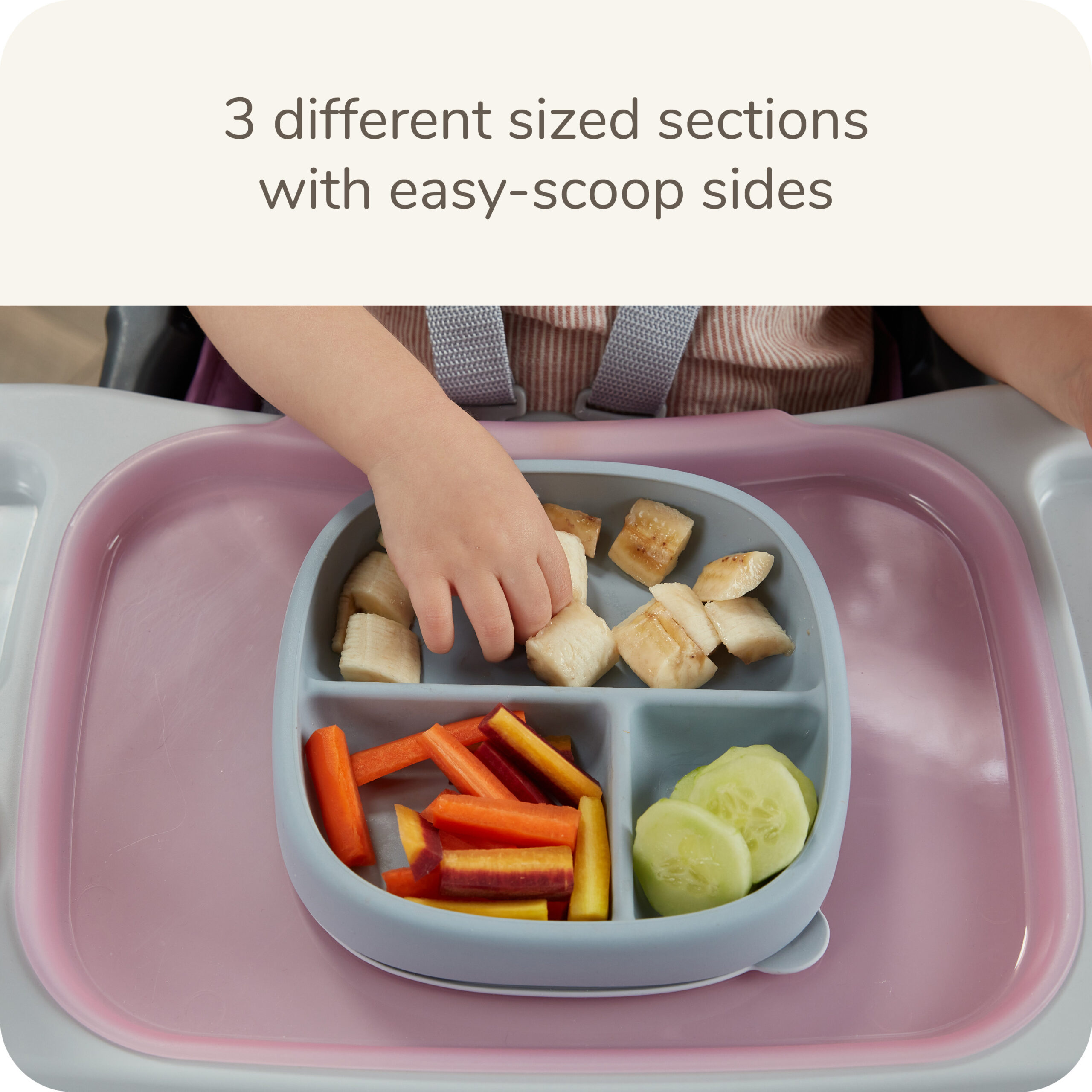 NFN Suction Plate w/ Lid Product Image 3 of 4